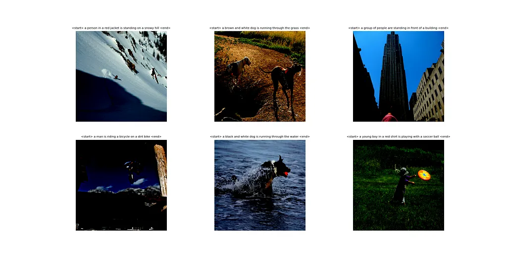 Some validation predictions of the model after training it for 15 epochs over the Flickr8k dataset